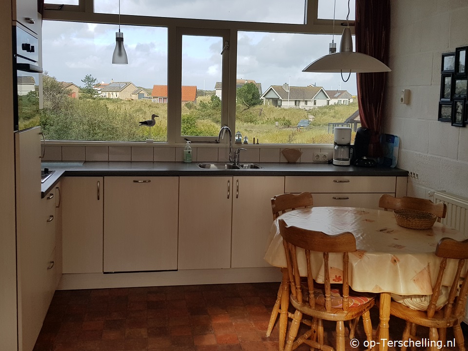  De Zeekoet
